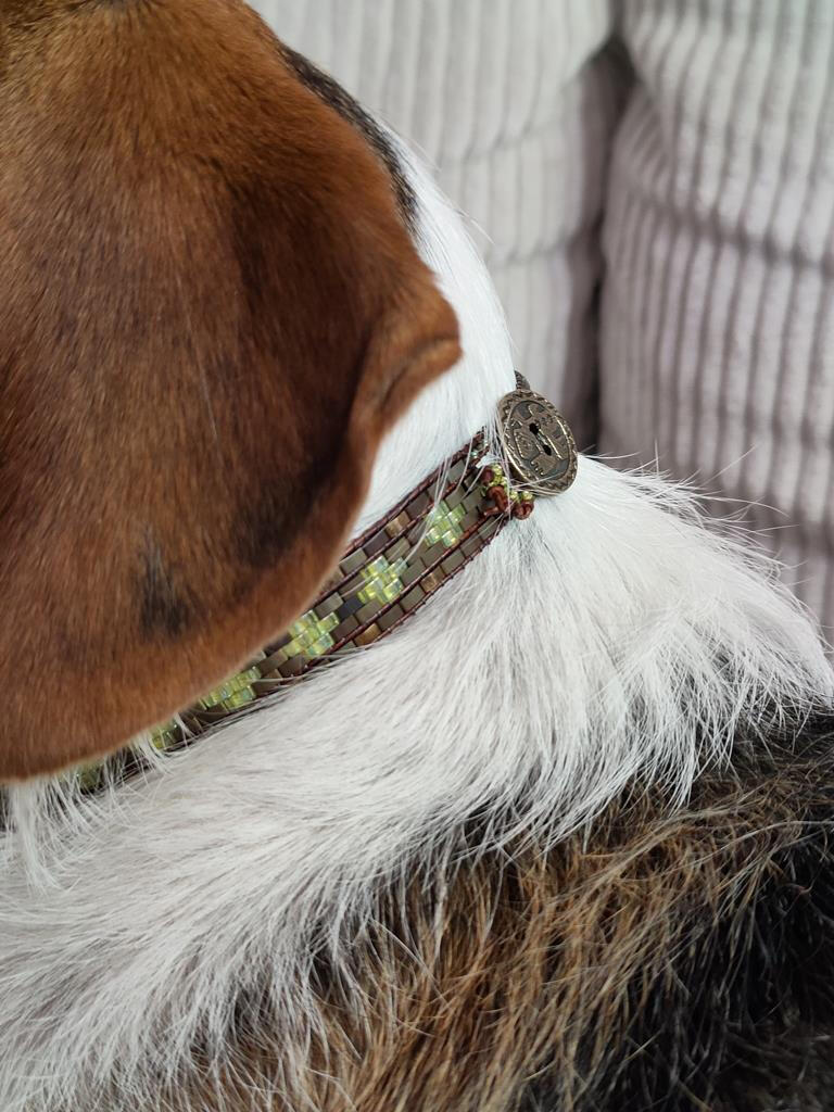 Joyería para perros ;)