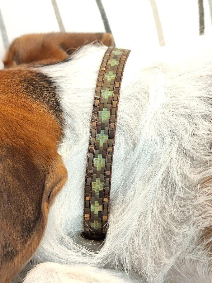 Collar para perro
